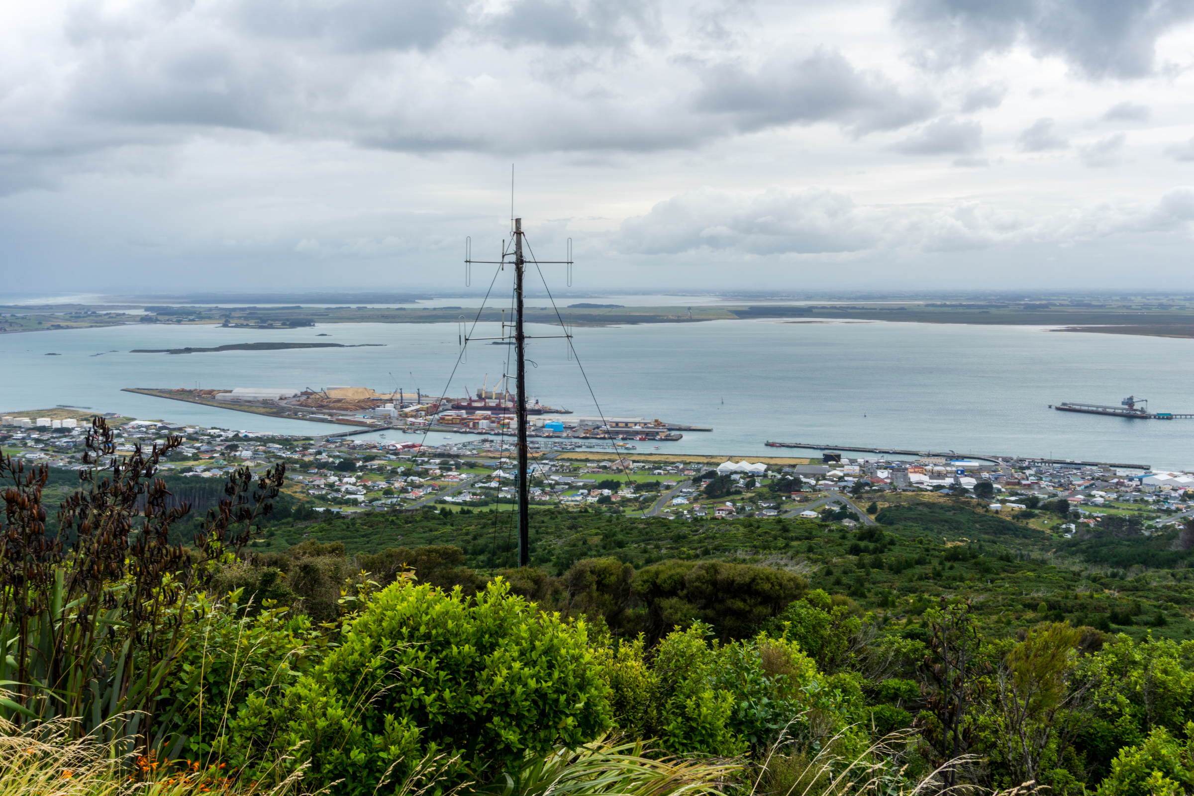 bluff 04.webp